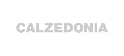 ELFO principali Clienti - Main Customers